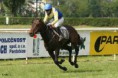 Belmont